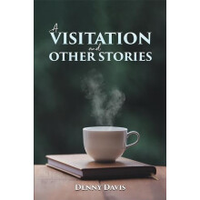 A Visitation and Other Stories by Denny Davis Paperback Book