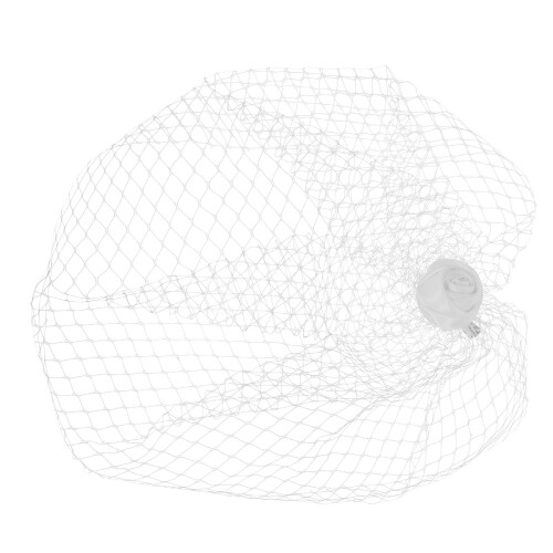 5St Wit Mesh Bruidssluier Met Haarklem Vrouwen Bruiloft