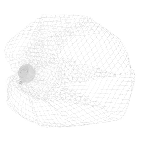 5St Wit Mesh Bruidssluier Met Haarklem Vrouwen Bruiloft 2