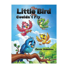 The Little Bird Who Couldnt Fly by Carrie Johnstone Paperback Book