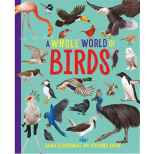 A Whole World of... Birds by Anna Claybourne Paperback Book