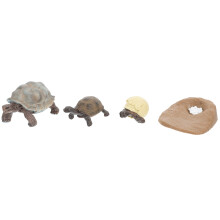 8Pièces Décorations Cycle Croissance Tortue PVC Variés