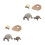 8Pièces Décorations Cycle Croissance Tortue PVC Variés 8