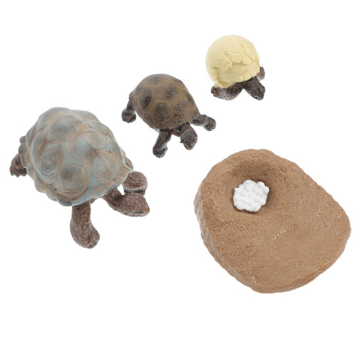 8Pièces Décorations Cycle Croissance Tortue PVC Variés 1