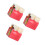 3St Heldere Caries Typodont Tool Voor Studenten En Tandartsen 6