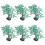 24St Mini Groene Plastic Voor Modelspoor En DIY Treindecoratie 2