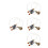 4St Compacte Gasfles Adapter PU Voor Camping En 4