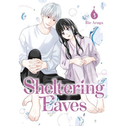 Sheltering Eaves 3 by Rie Aruga Paperback Book