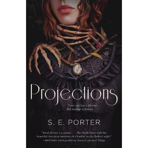 Projections by S E Porter Paperback Book