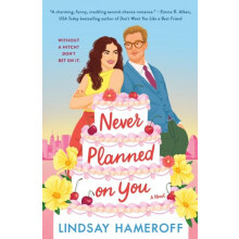 Never Planned on You by Lindsay Hameroff Paperback Book