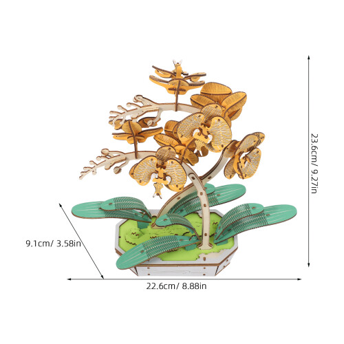 DIY Phalaenopsis Plant Lover Speelgoed 2