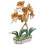 DIY Phalaenopsis Plant Lover Speelgoed 9