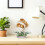 DIY Phalaenopsis Plant Lover Speelgoed 5