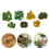 5Sets Mini Plastic Model Voor Diorama En Decoratie Thuis 10