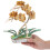 DIY Phalaenopsis Plant Lover Speelgoed 4