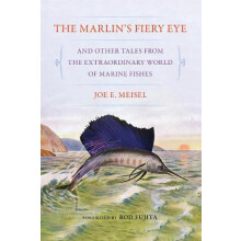 The Marlins Fiery Eye and Other Tales from the Extraordinary World of