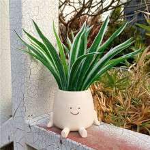Pot de Jardinière avec Visage Souriant, Pot de Plante Amusant pour Plantes D'Intérieur et D'Extérieur, Jardinières à Tête Mignonne, Pot de Fleur