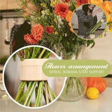 Support de Tige D'Ikebana en Spirale, Grille Florale Réutilisable pour Vase, Façonneur de Fleurs pour Fleurs, Support de Tige en Spirale pour Vase L