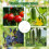 Tomato Hooks with String,Plant Support Clips,Tomato Support Hook for Climbing Plants,Tomato Holder Hooks 2