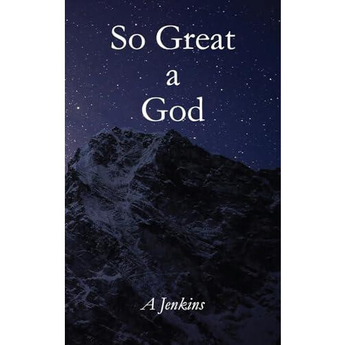 So Great a God by Alan Jenkins Paperback Book
