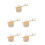 15Ensembles Kit Bois Clair Décor Éducatif Stem 9