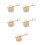 15Ensembles Kit Bois Clair Décor Éducatif Stem 8