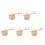 15Ensembles Kit Bois Clair Décor Éducatif Stem 7