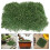 4Pcs Multi Miniature Artificial Grass Clusters for Model Train Scenery 9