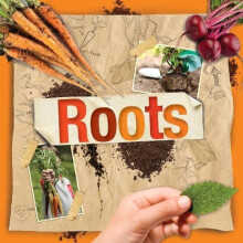 Roots by Steffi CavellClarke Paperback Book