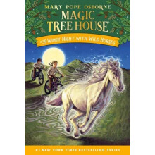 Windy Night with Wild Horses by A.G. Ford Paperback Book