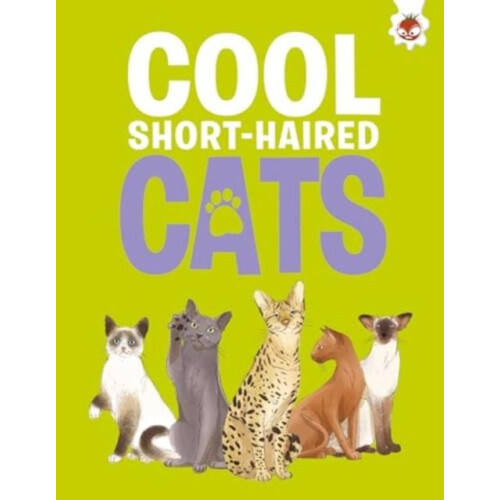 Cool ShortHaired Cats by Eliza Jeffery Paperback Book