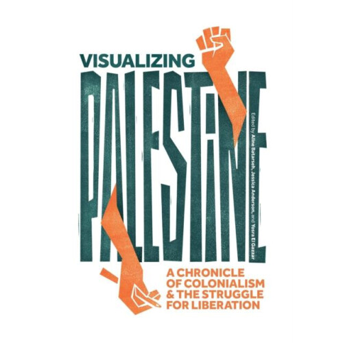 Visualizing Palestine Hardcover Book