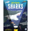 Magic Searchlight Sharks by Kit Elliot Hardcover Book 1