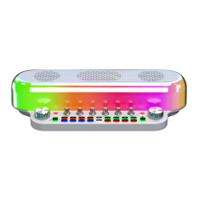 Tragbarer Lauter Karaoke-Lautsprecher mit Zwei Mikrofonen, Kabelloser -Soundkartenlautsprecher, All-In-1-Soundkarte für FamilyKTV, Weiß