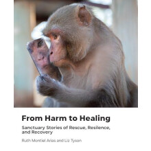 From Harm to Healing by Liz Liz Tyson Tyson Hardcover Book