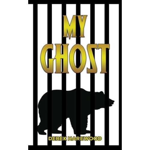 My Ghost by Derek Harewood Paperback Book