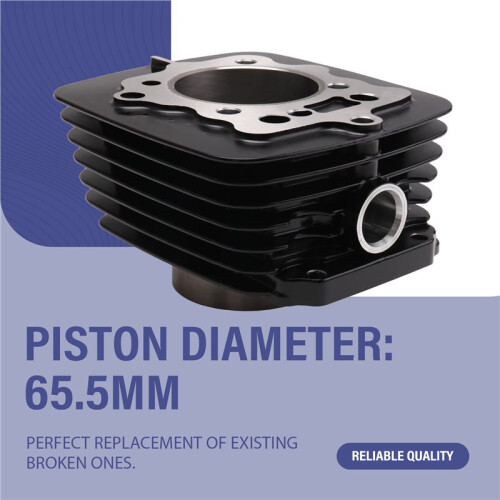 65.5mm Motorcycle Engine Cylinder Piston Kit for Italika Ft125 Ft150 Rt180 2