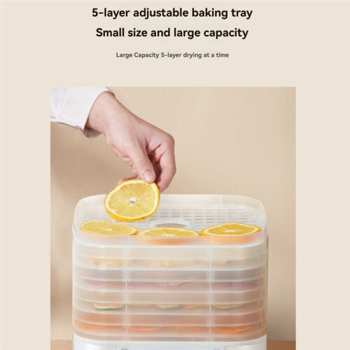 5 Layer  Electric Food Dryer Timing Function Fruit Vegetable Dehydrator Machine for Dry Beef Jerky A US Plug 1