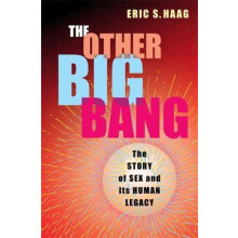 The Other Big Bang by Eric S. Haag Hardcover Book