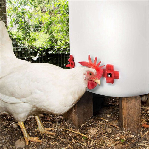12 Pack - Horizontal Side Mount Automatic Poultry Nipples - Clean Drinker Waterer For Chicken Or Quail 1