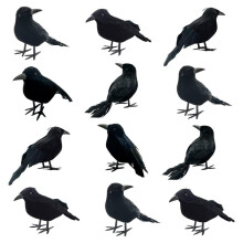 12 PièCes Halloween Corbeaux Noirs Corbeaux à Plumes RéAlistes à la Recherche de Corbeau à Plumes Faits à la Main, 3 Styles