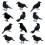 12Pcs Halloween Black Crows Feathered Crows Realistic Looking Handmade Feathered Crow , 3 Styles 1