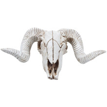 Resin Sheep  Skull  Wall Hanging 3D Animal Longhorn Sculpture Figurines Crafts Horns Home Decor Ornaments