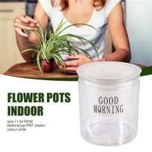 Self-Watering Flowerpot Automatic Water Absorption Succulent Aquaculture Transparent Round Plastic Hydroponic Flowerpot