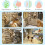 Seagrass Protector Mat with Toys for Bunny Internal Protective Grass Bite String Teeth Grinding Toy 5