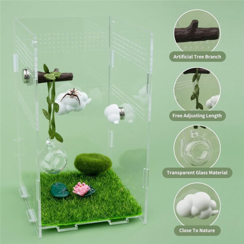 4pcs Jumping Spider Hide Glass   Cloud Platform Ledges Jumping Spider for Decorating Jumping Spider Enclosure 2