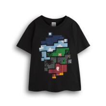 Minecraft Short Sleeved T-Shirt (Boys Black)