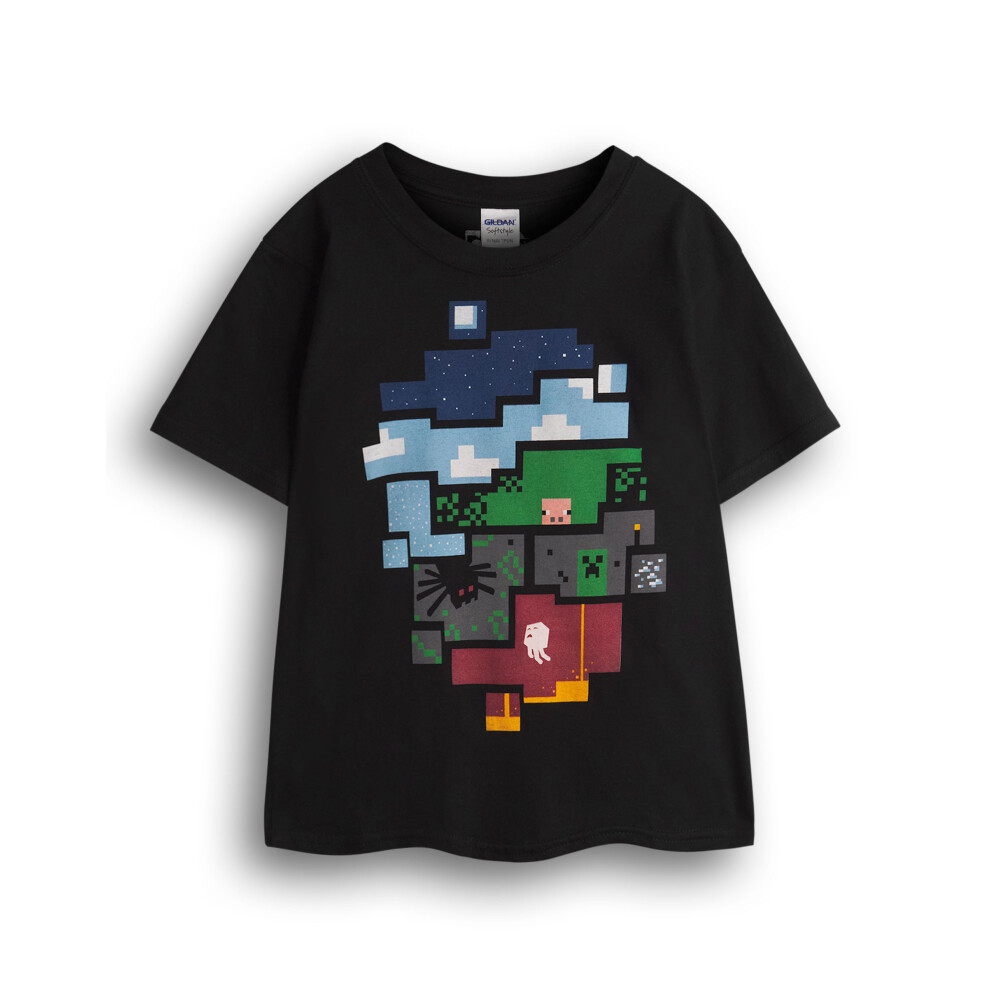 Minecraft Short Sleeved T-Shirt (Boys Black)