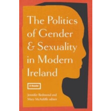 The politics of gender and sexuality in modern Ireland Paperback Book