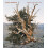 Mitch Epstein Hardcover Book 1